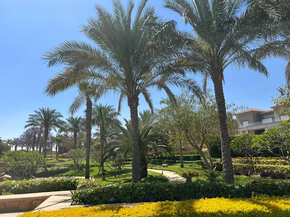 Apartment | Forsa Property