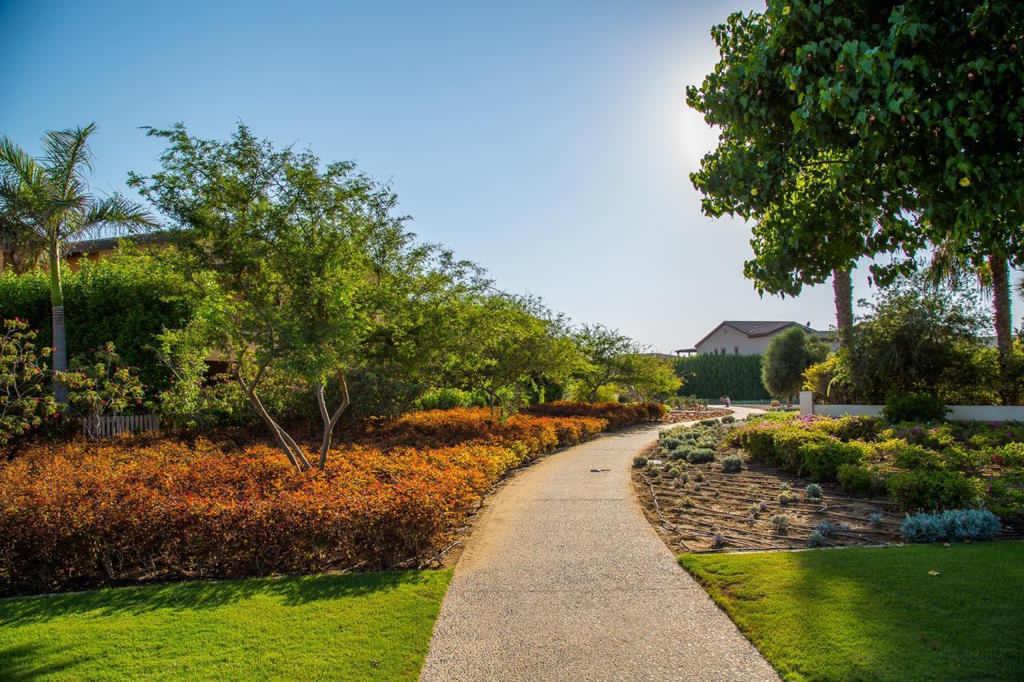 Chalet | Forsa Property