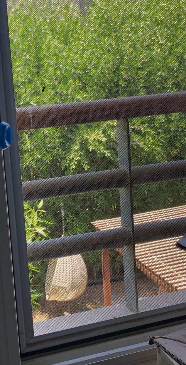 Twin House | Forsa Property