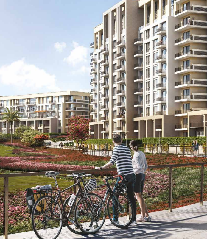 Apartment | Forsa Property