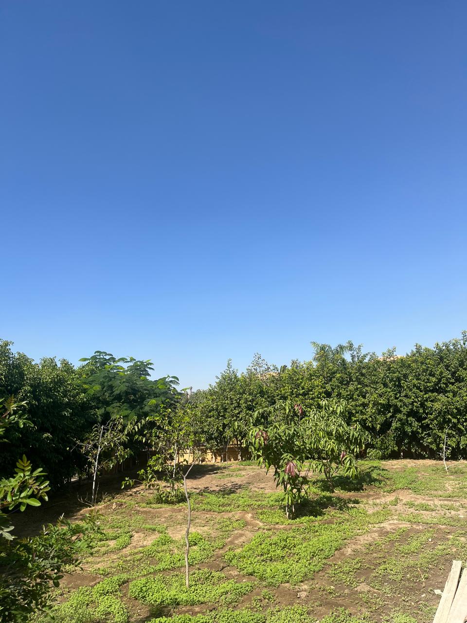 Villa | Forsa Property