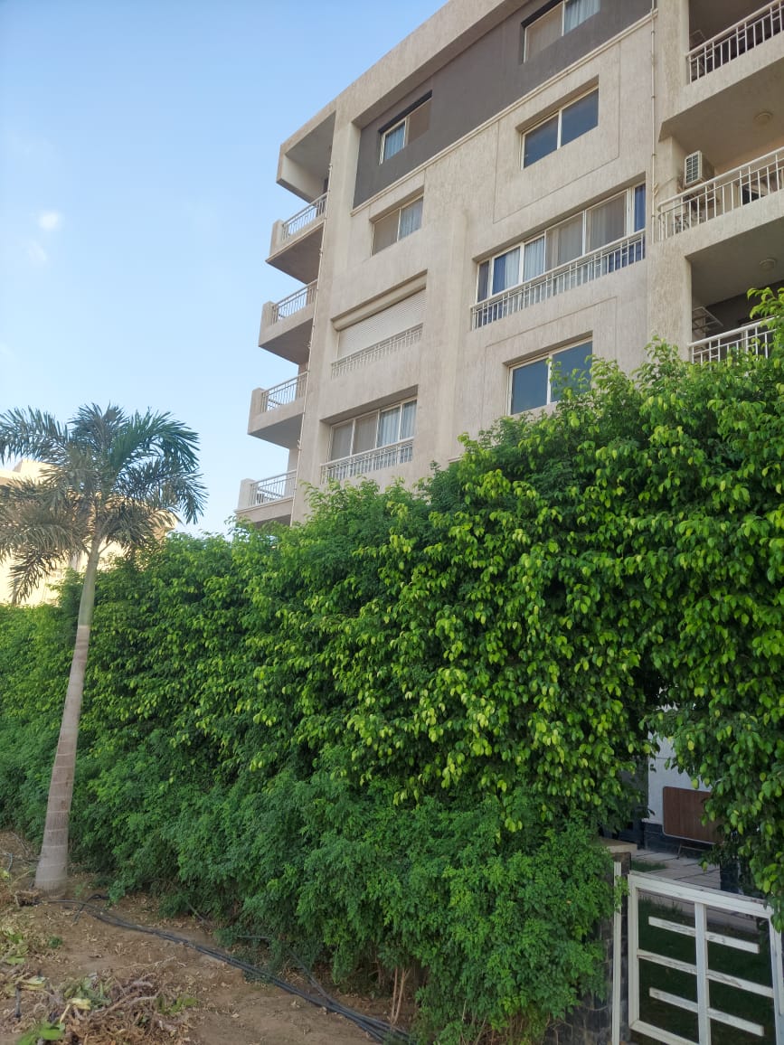 شقة | Forsa Property