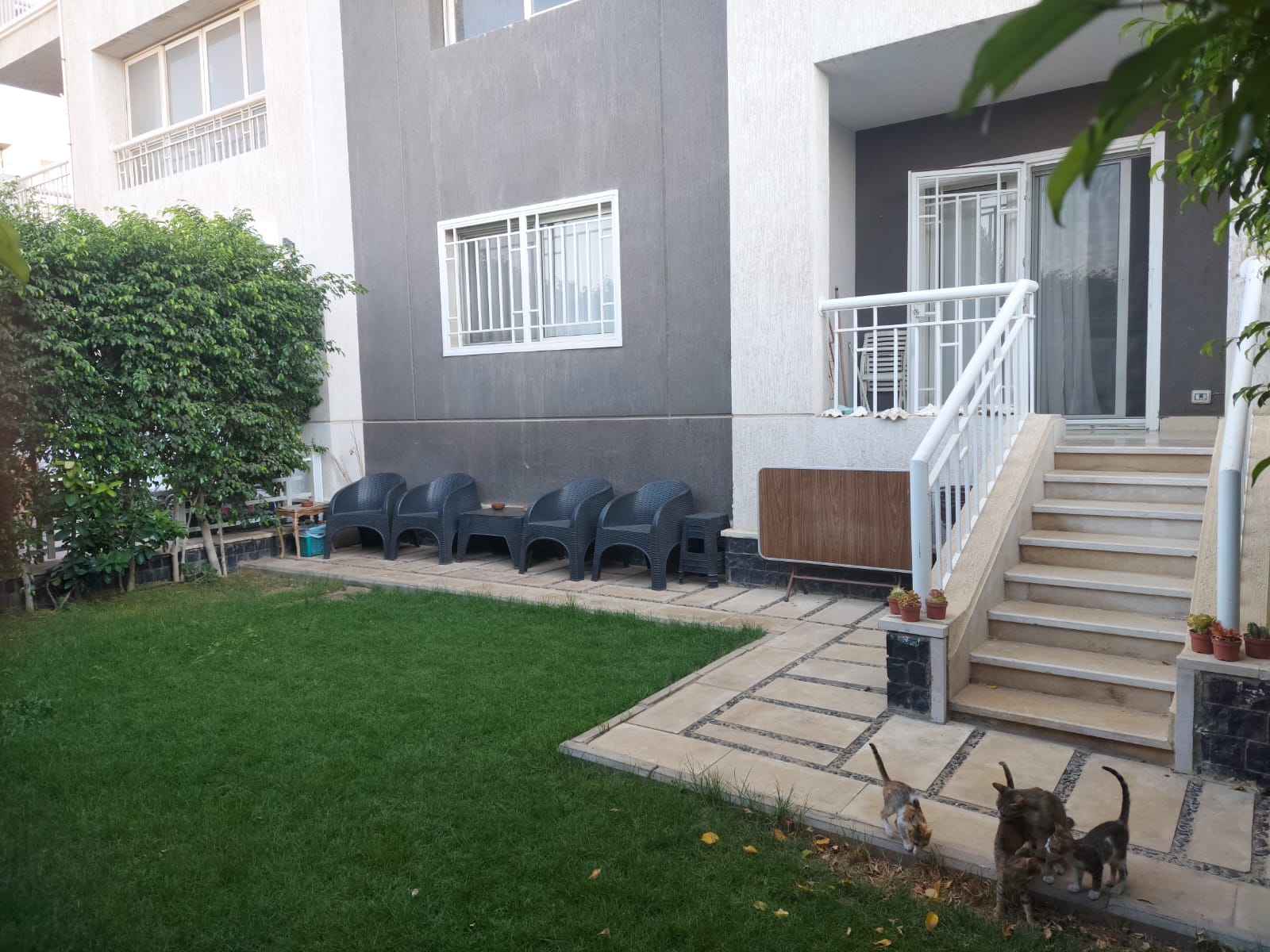 شقة | Forsa Property