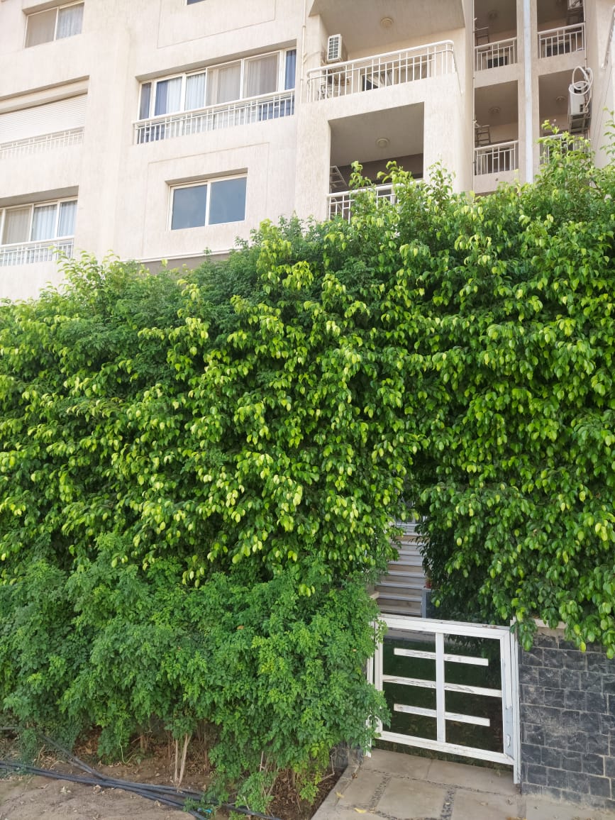 شقة | Forsa Property