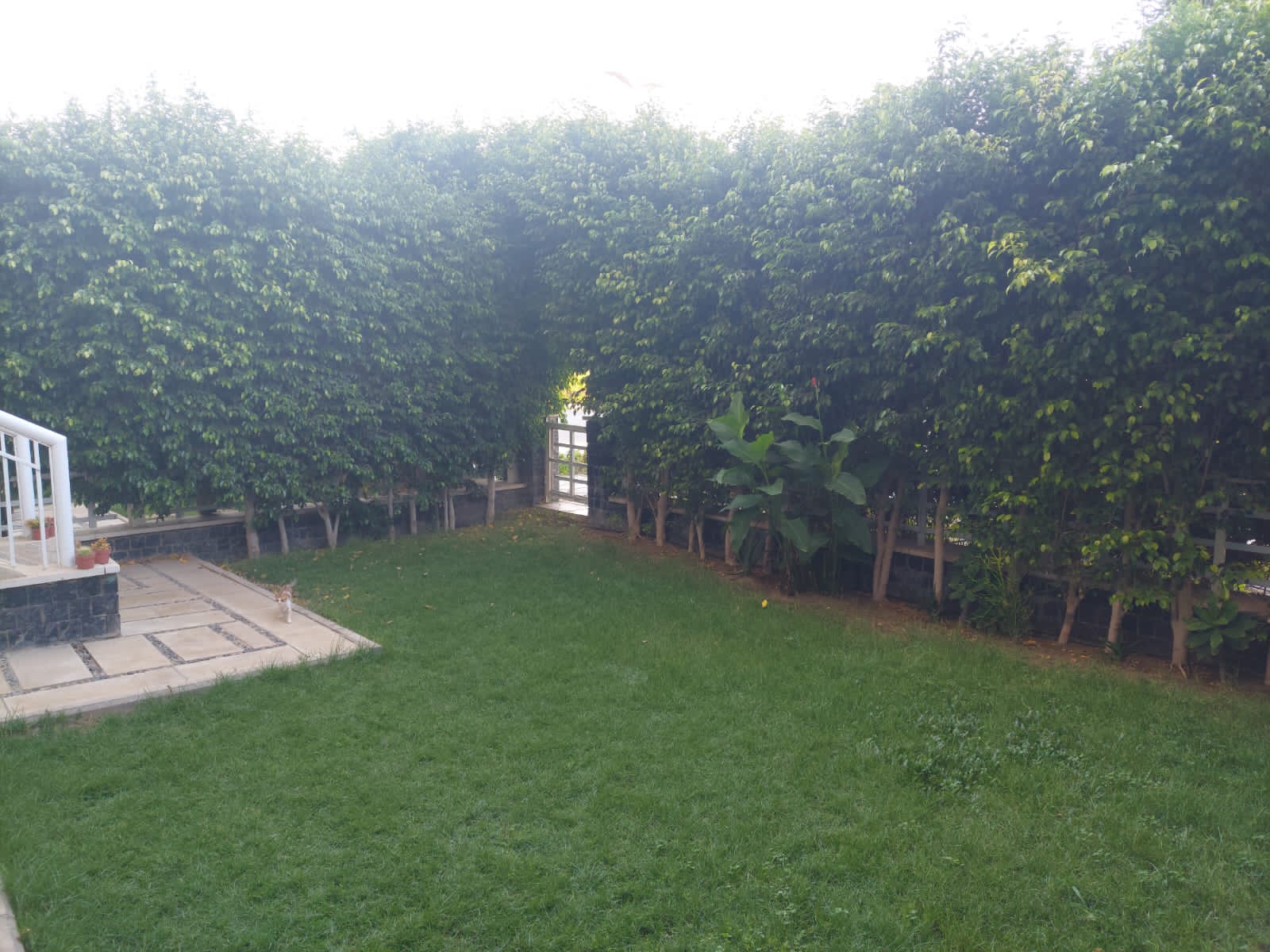 شقة | Forsa Property