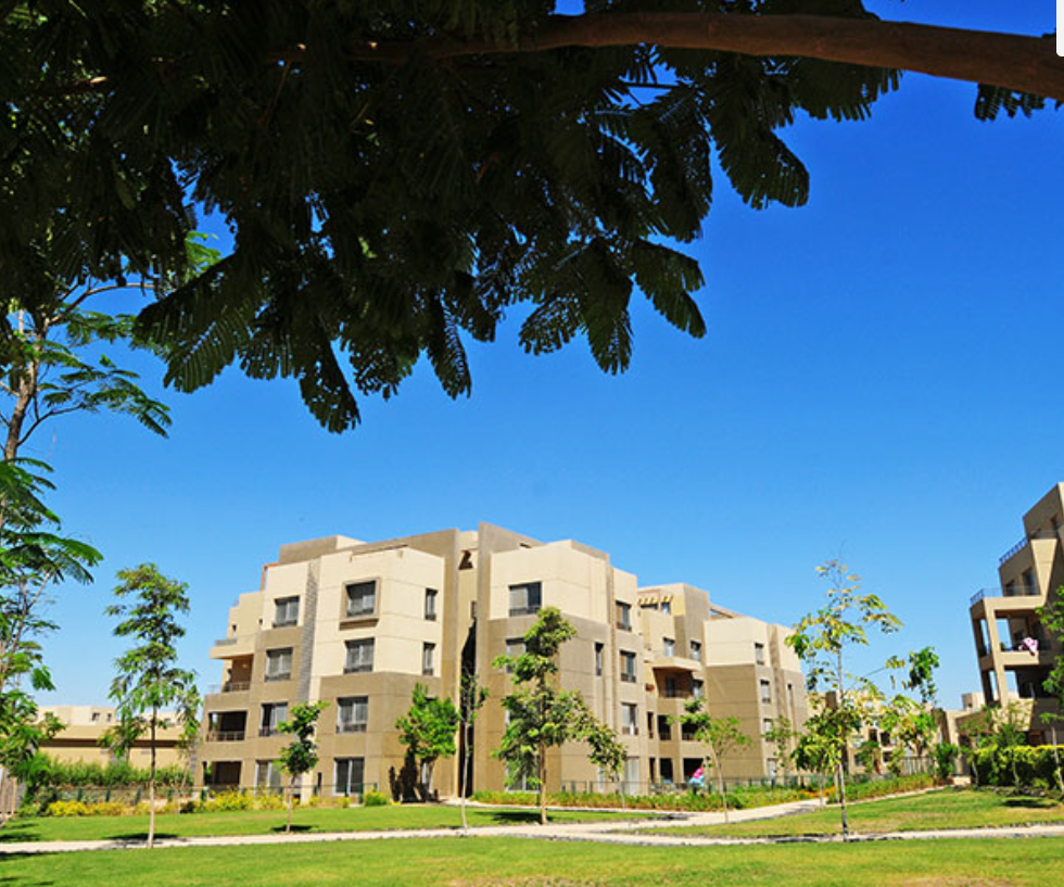 Penthouse | Forsa Property