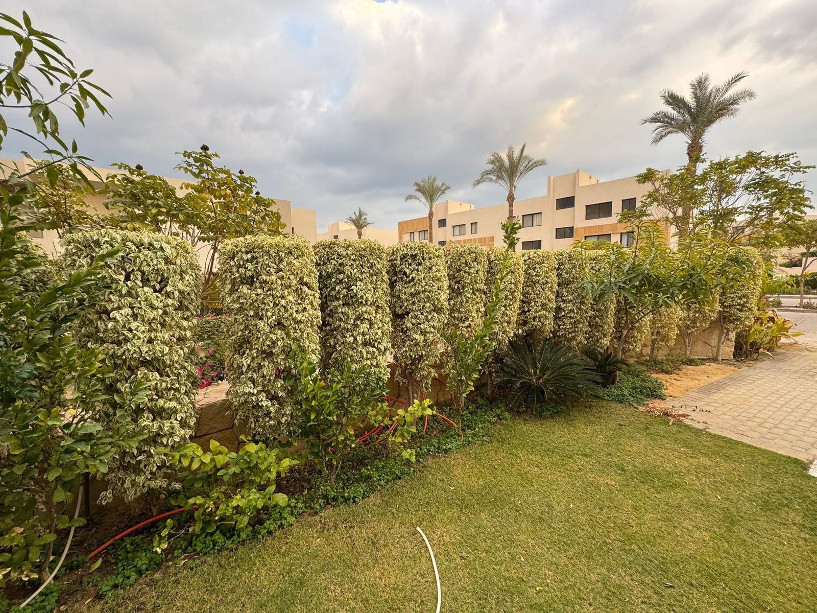 Twin House | Forsa Property