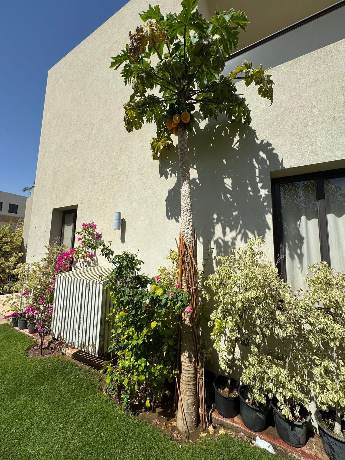 Twin House | Forsa Property