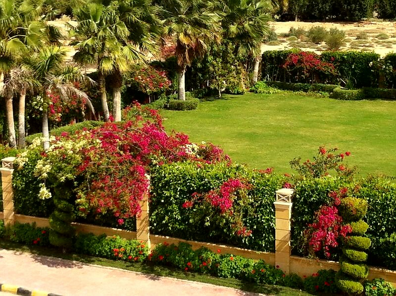 Villa at Golf Solimania | Forsa Property