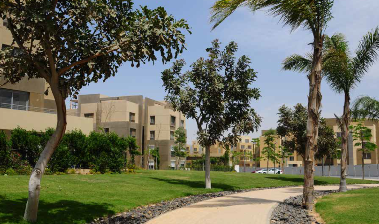 Apartment | Forsa Property