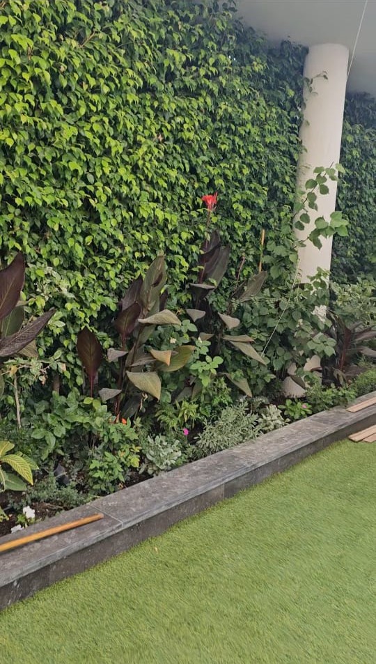 Apartment at Lake View | Forsa Property