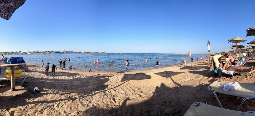 Twin House | Forsa Property