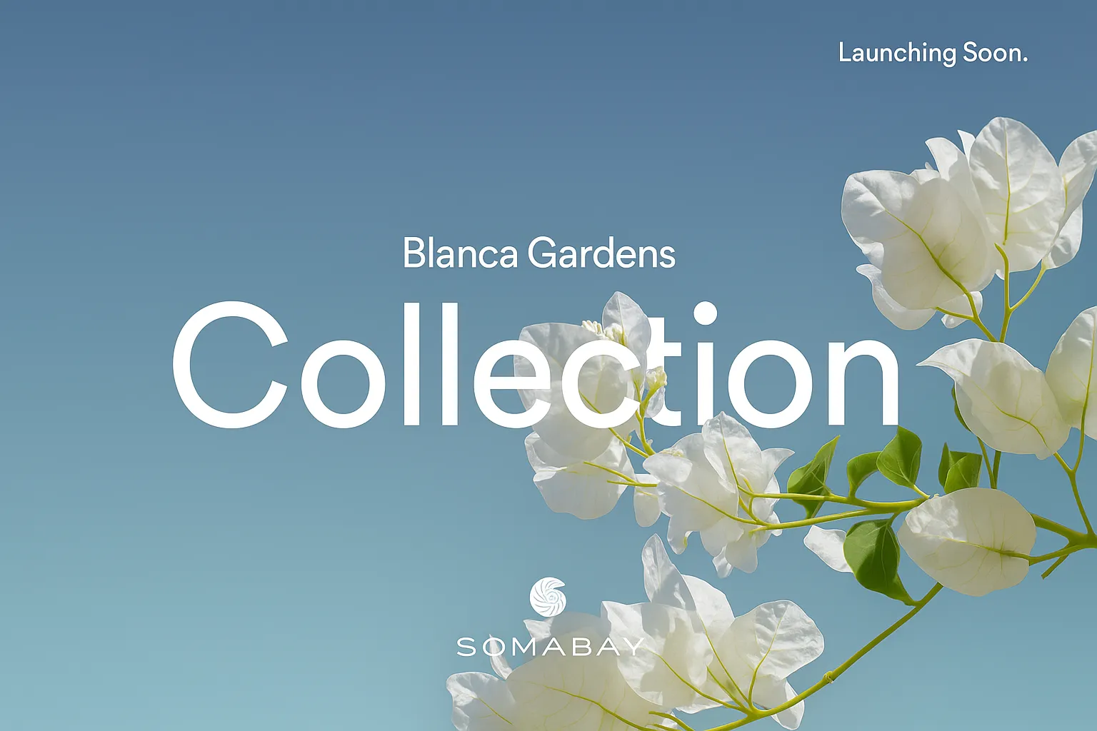 Blanca Gardens Collection | Forsa Property