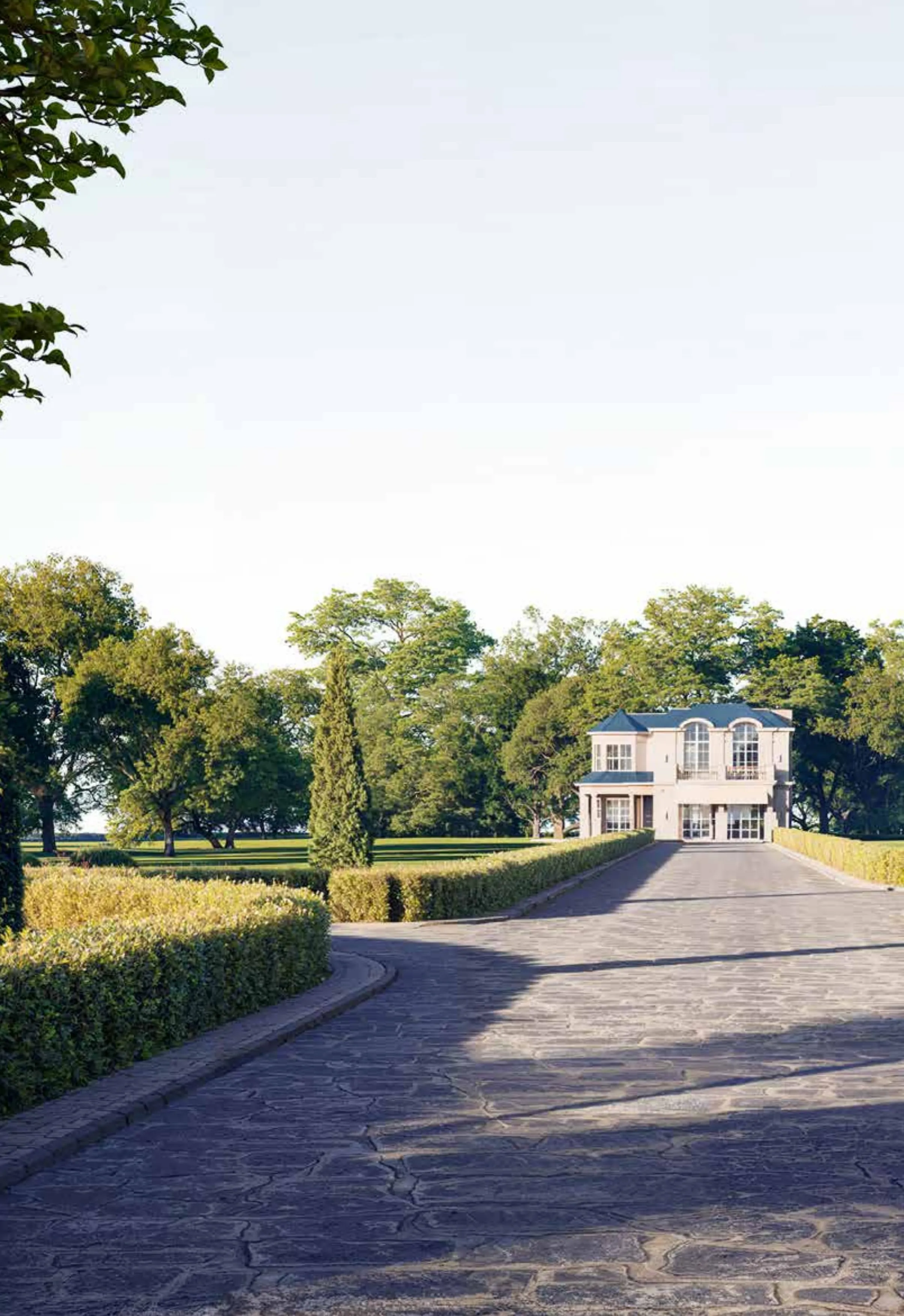 Kings Way by Mountain View | Forsa Property Kings Way by Mountain View | Forsa Property