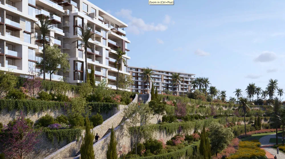 Noll | Forsa Property