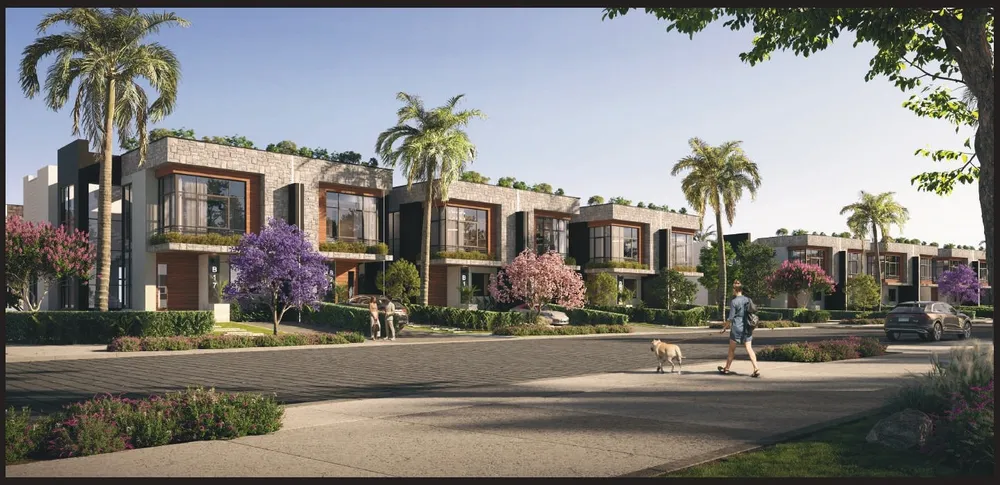 Belong | Forsa Property