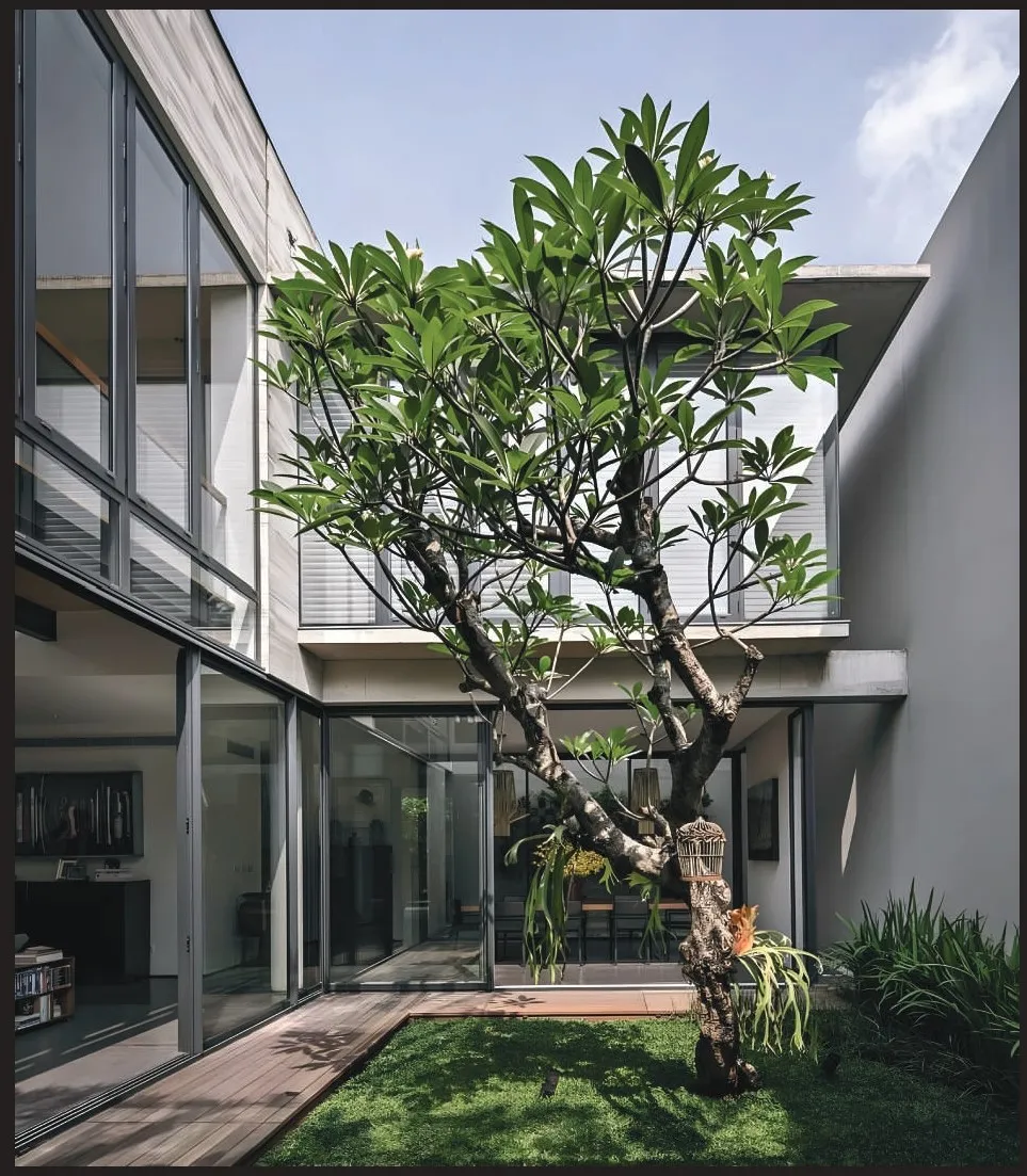 Belong by Centrada Developments | Forsa Property