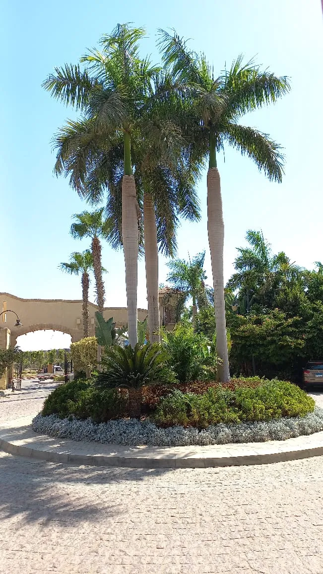 Dara Gardens by Al Ahly Sabbour Developments | Forsa Property Dara Gardens by Al Ahly Sabbour Developments | Forsa Property