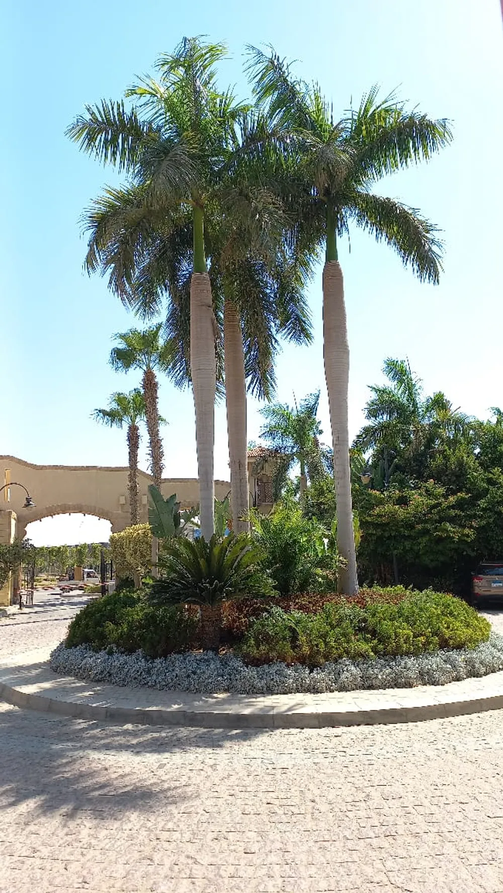 Dara Gardens | Forsa Property