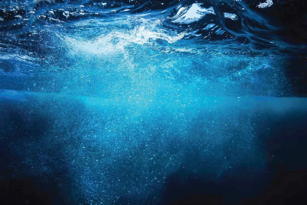 Lagoon Luxury Apartments North Coast | Forsa Property