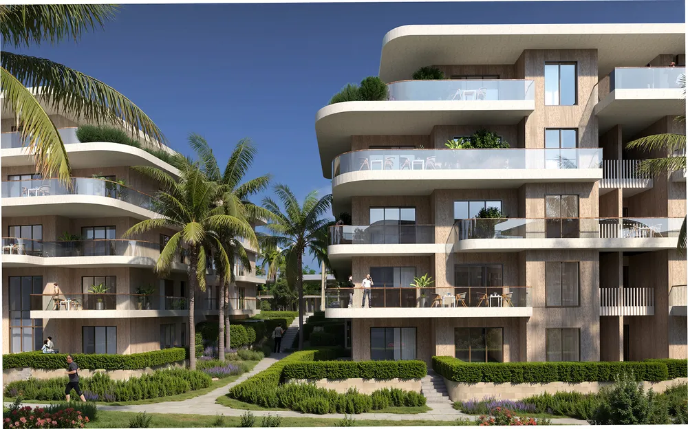 Elm Tree | Forsa Property