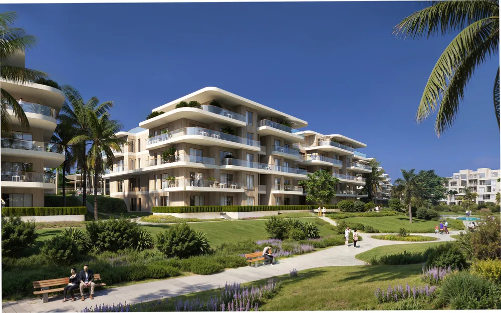 Elm Tree | Forsa Property