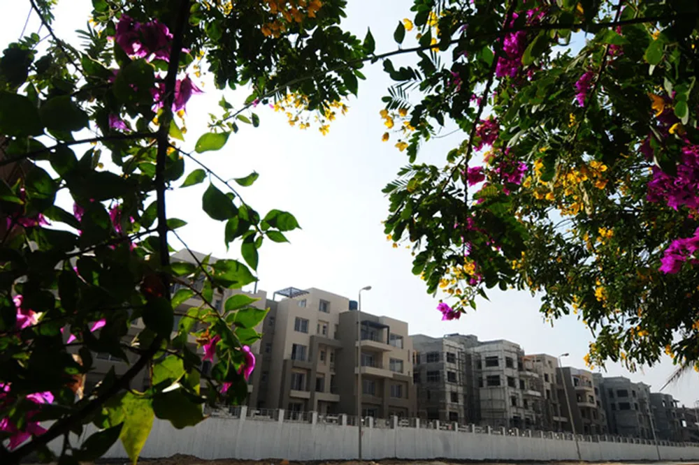 Village Avenue | Forsa Property