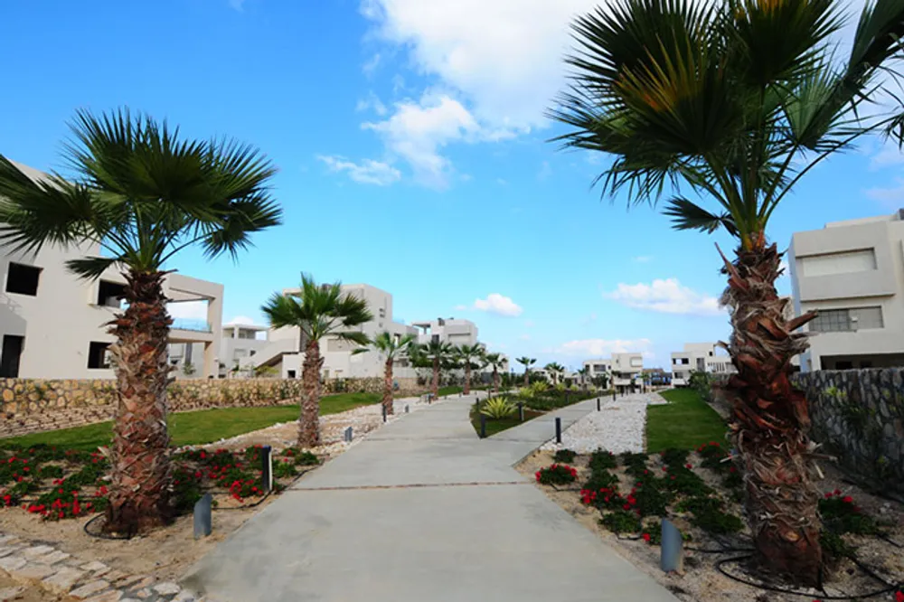 Hacienda White | Forsa Property