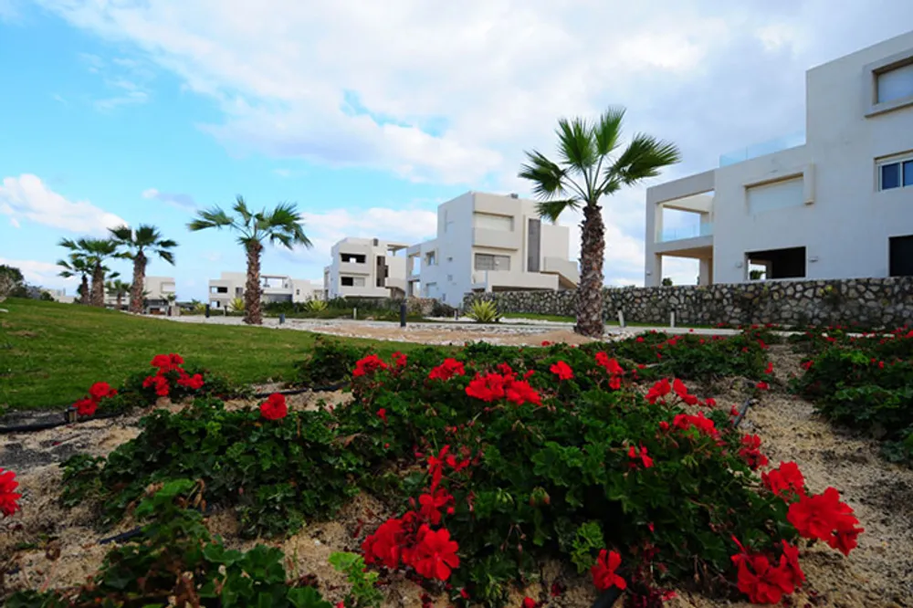 Hacienda White | Forsa Property