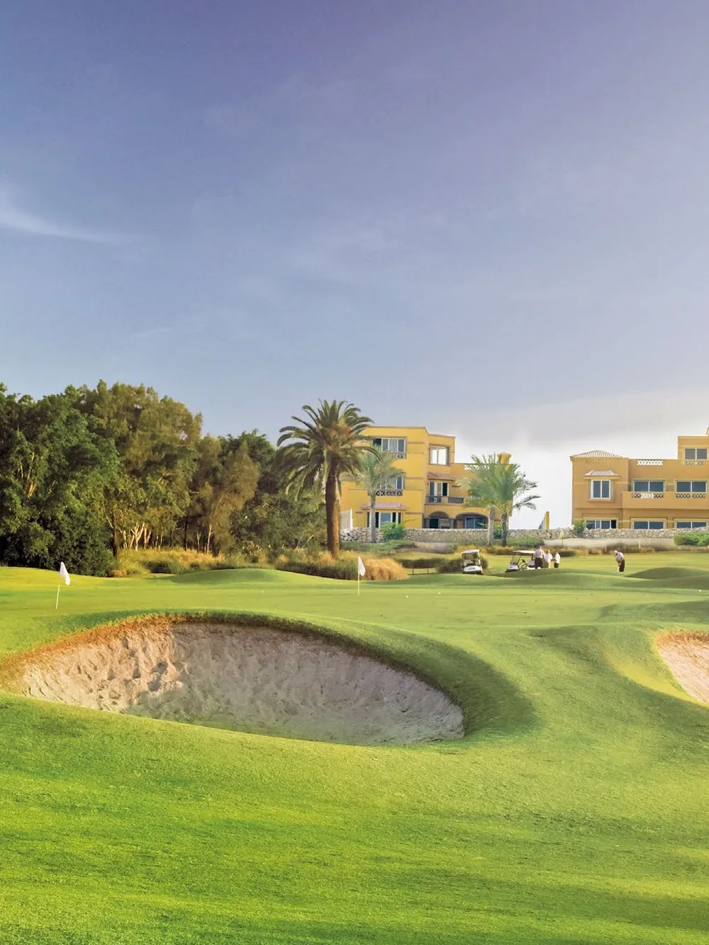 The Crown | Forsa Property