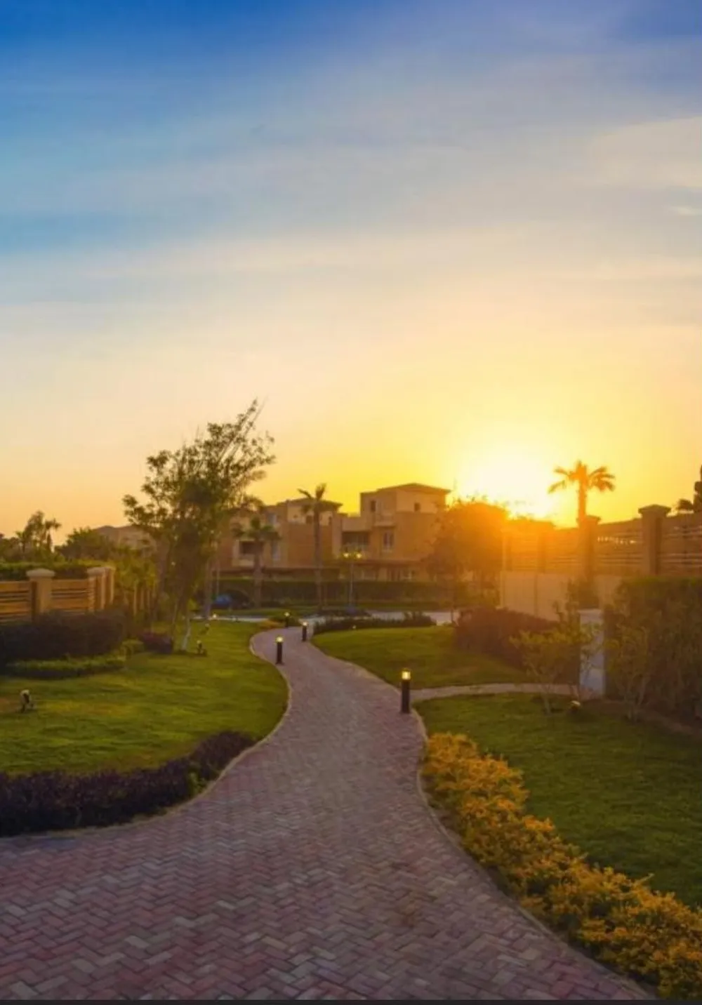 ALMA | Forsa Property