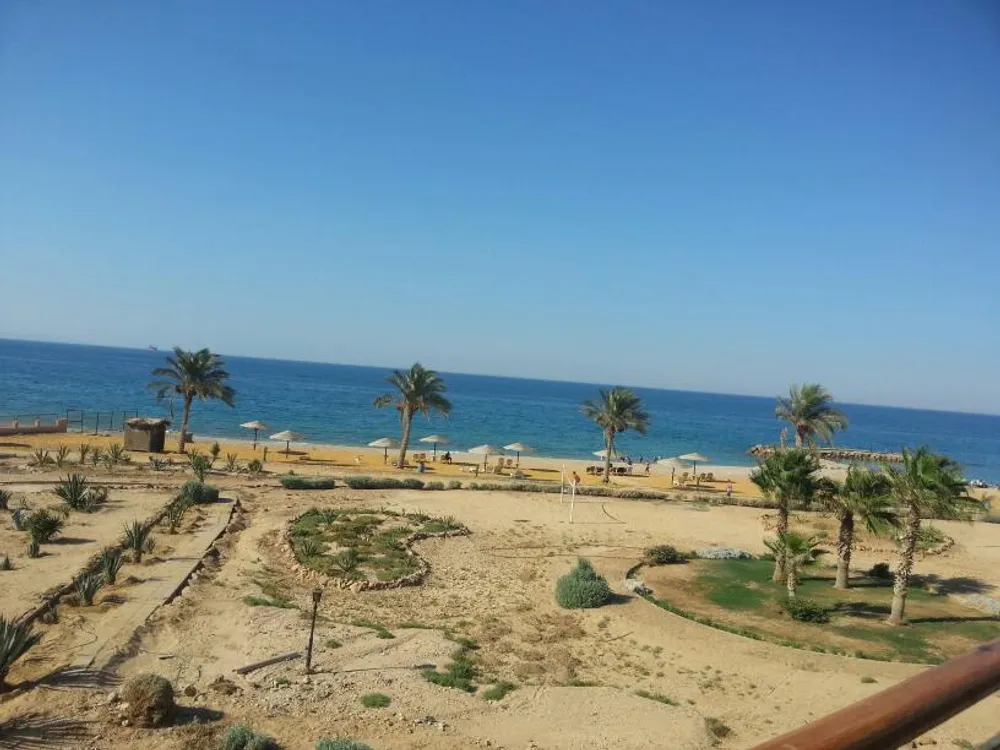 Dome Marina Resort | Forsa Property