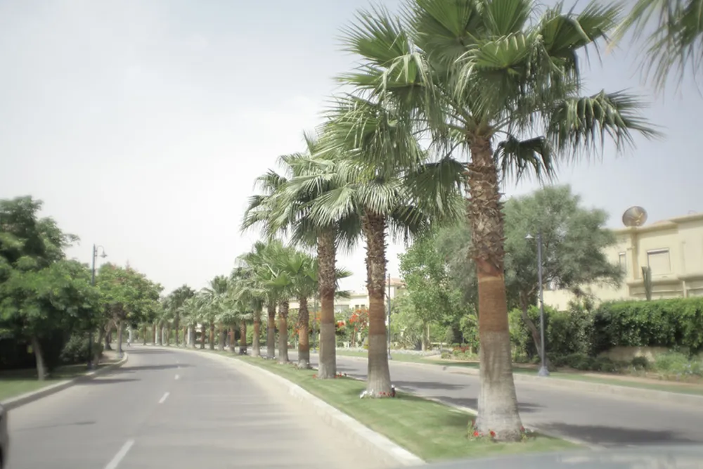 Gardenia Park 1 | Forsa Property