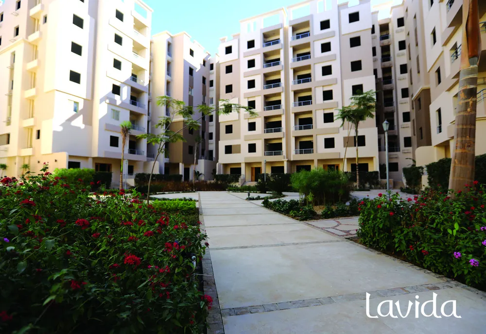Lavida | Forsa Property
