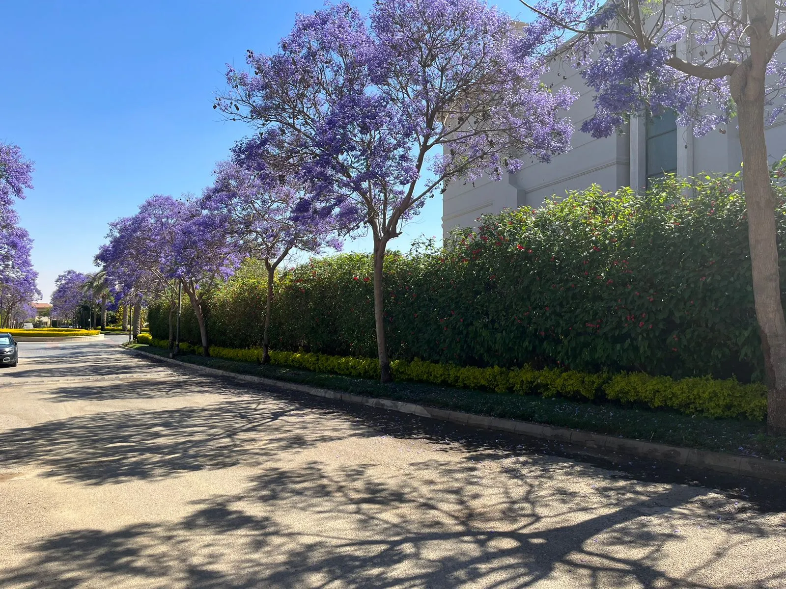 Seasons Residence by Hassan Allam Properties | Forsa Property