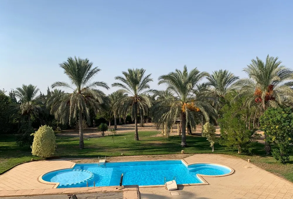 Verde | Forsa Property