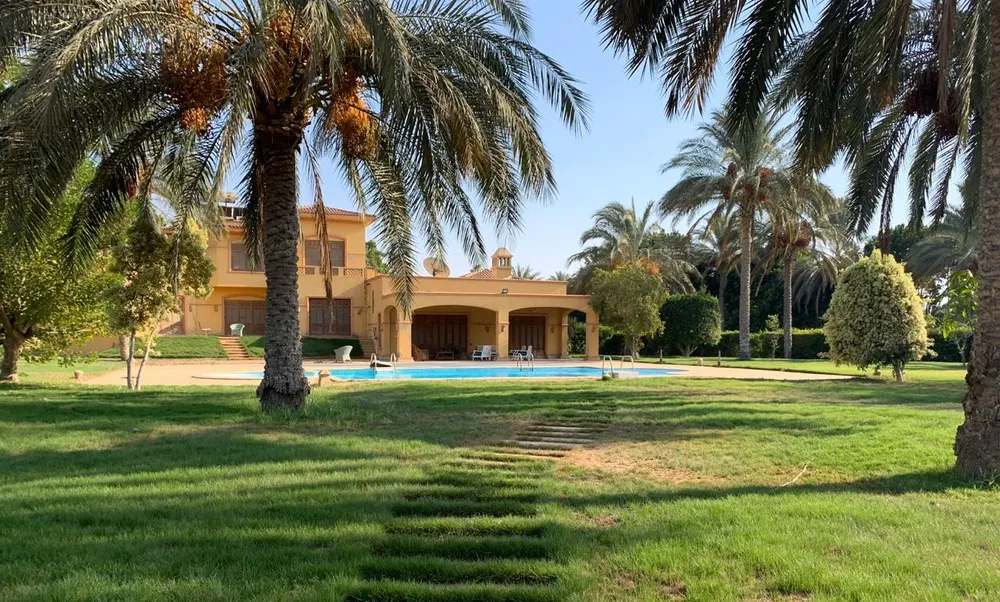 Verde | Forsa Property