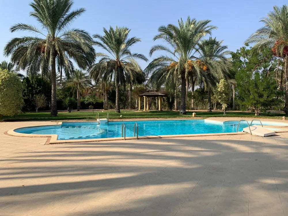 Verde | Forsa Property