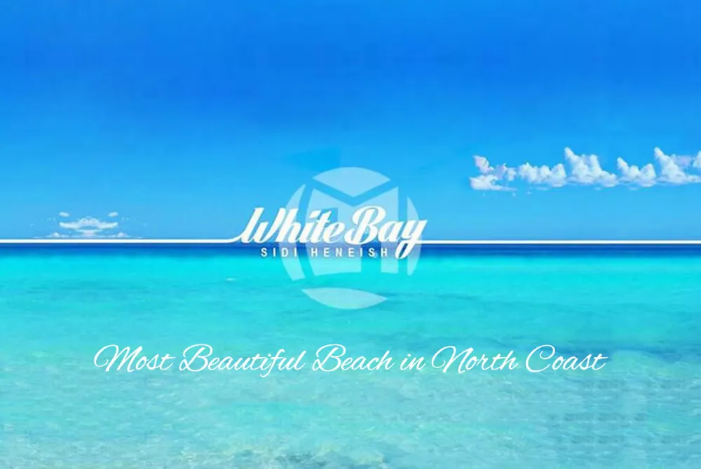 White Bay | Forsa Property