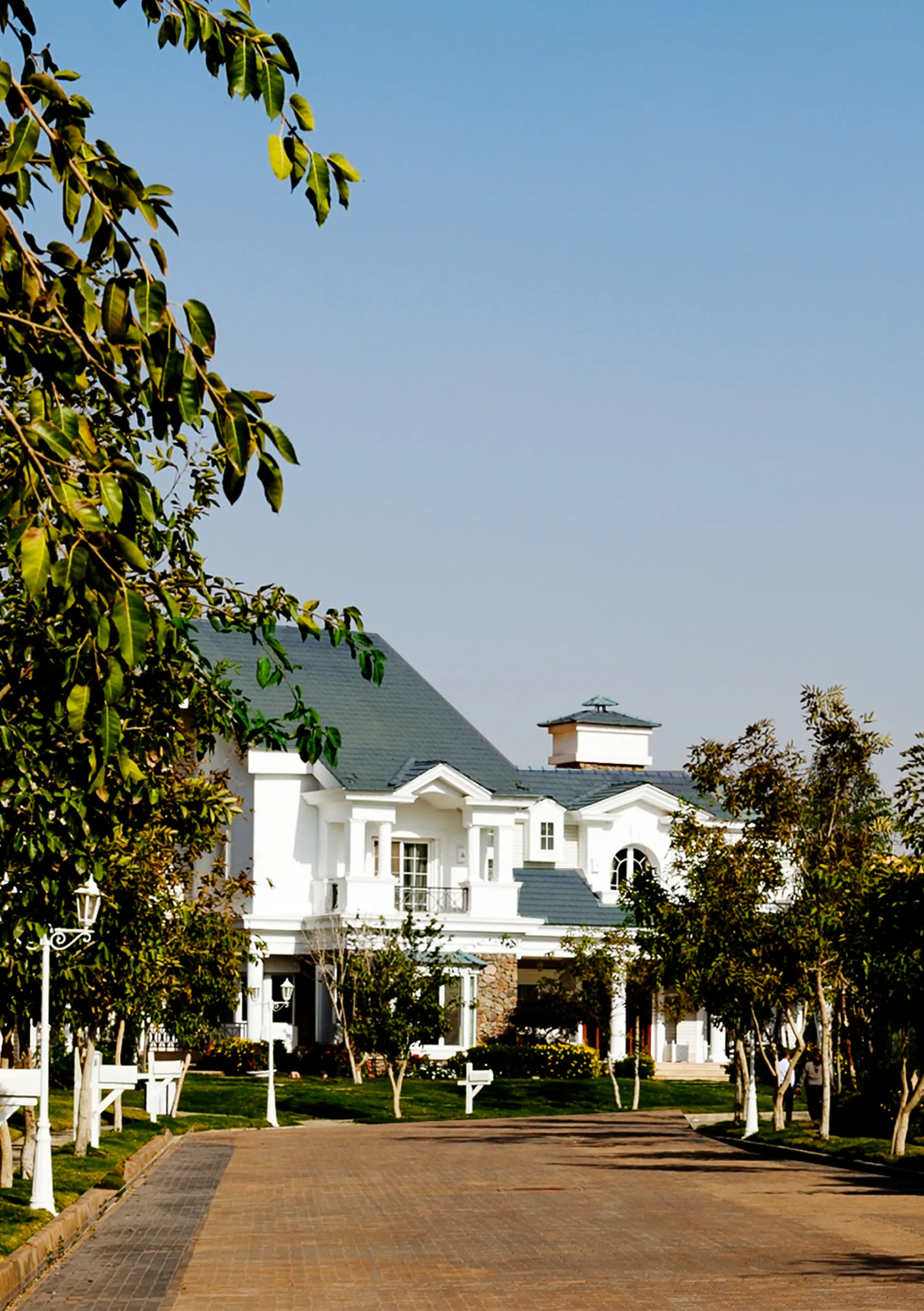 Mountain View One by Mountain View | Forsa Property Mountain View One by Mountain View | Forsa Property