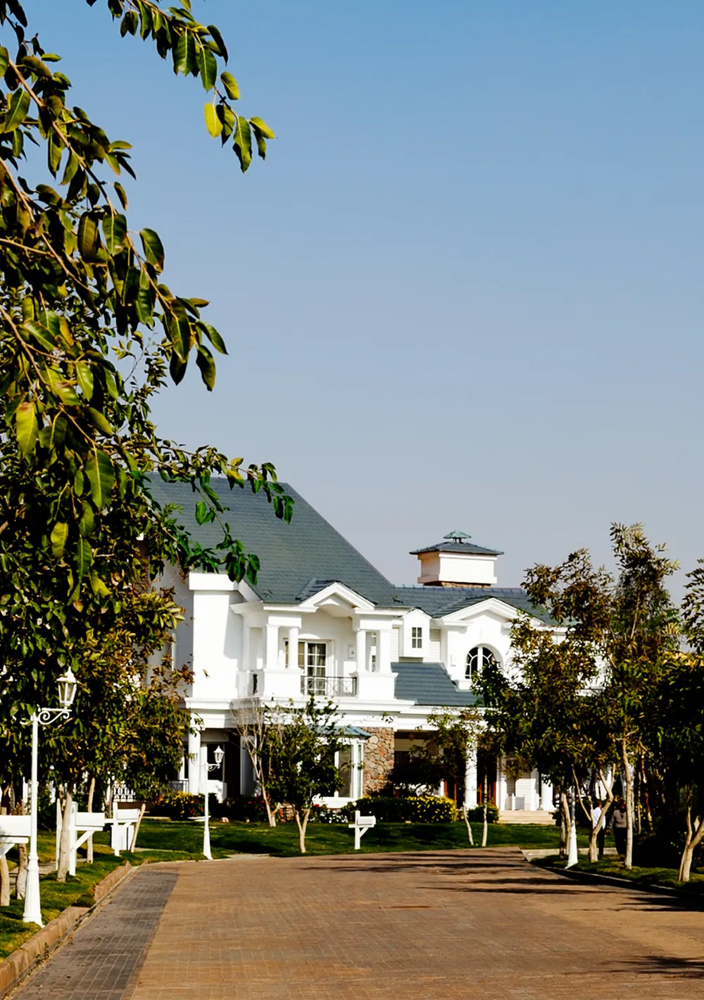 Mountain View One | Forsa Property