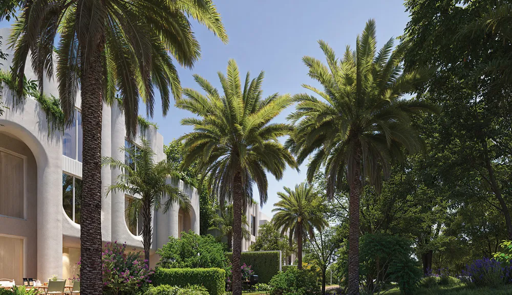 Vert | Forsa Property